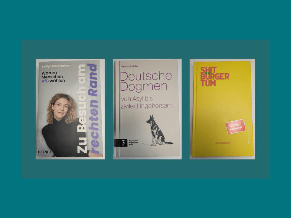 Polarisierung